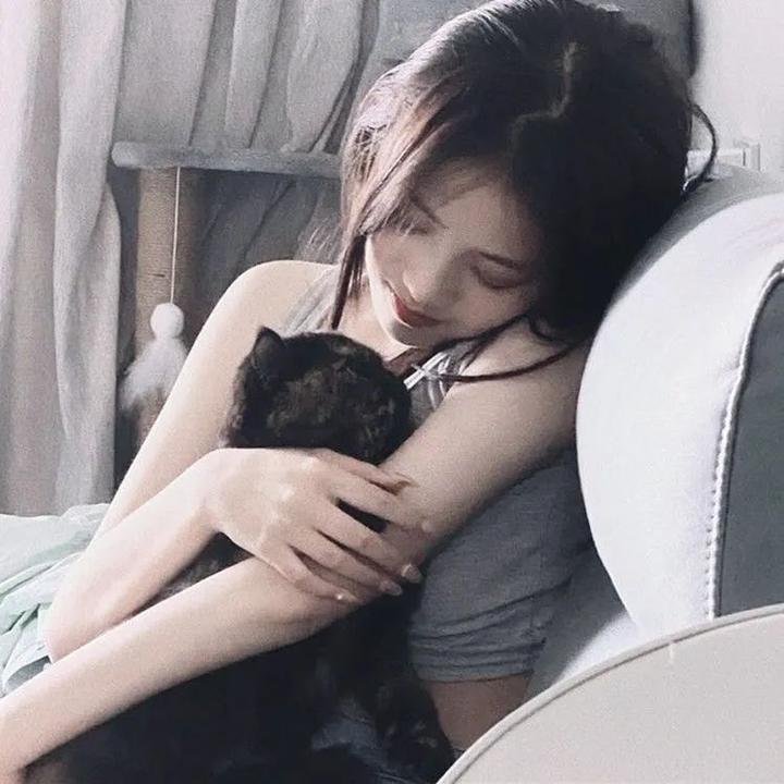 苦茶香